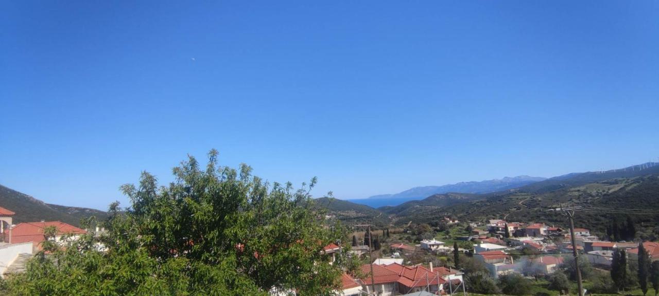 Rising Sun Guesthouse Mesochoria Esterno foto